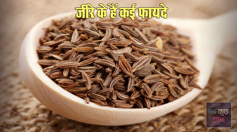 3 physical benefits of eating cumin seeds you do not know