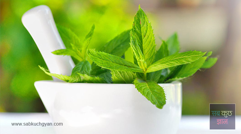 health benefits of mint in hindi