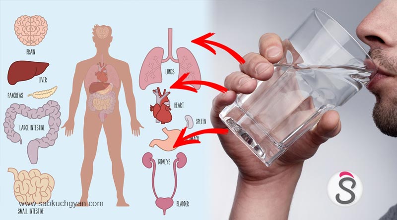 Why change the habit of drinking water after eating, go to the full truth (3)