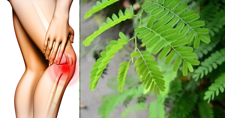 ayruvedic-medicine-for-joints-pain-and-sugar