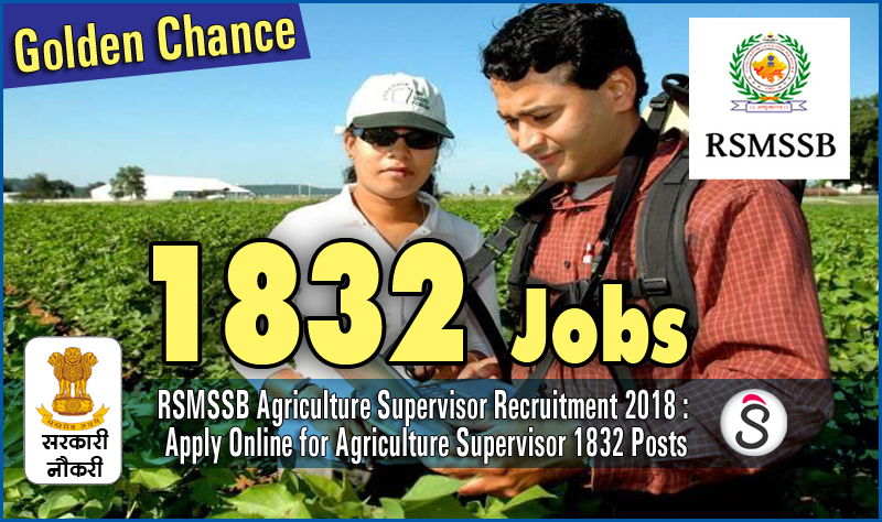 RSMSSB Agriculture Supervisor Recruitment 2018 Apply Online for Agriculture Supervisor 1832 Posts