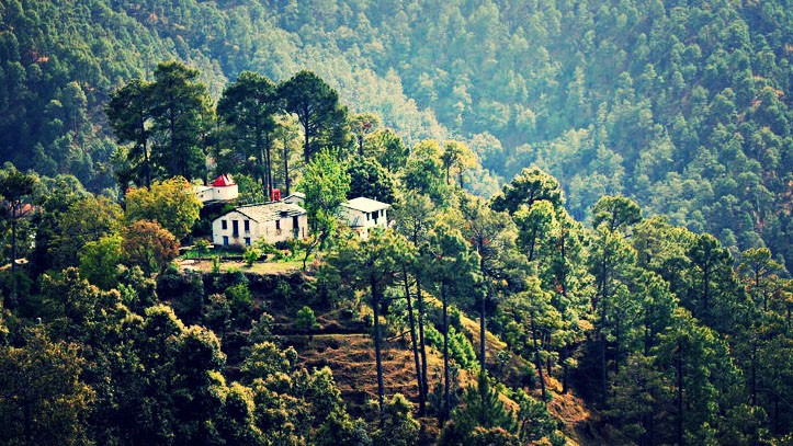 travel-place-peace-and-happiness-should-go-to-this-place-in-uttarakhand-dhanaulti-and-binsar (7)