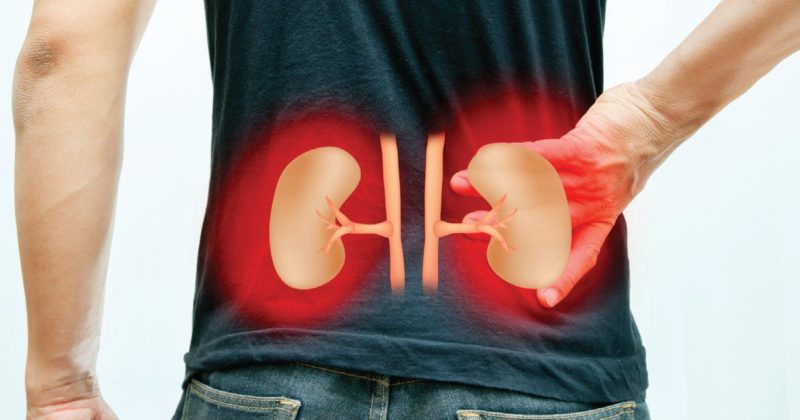 See if you want to live and save the kidneys, stop eating these 5 things किडनी