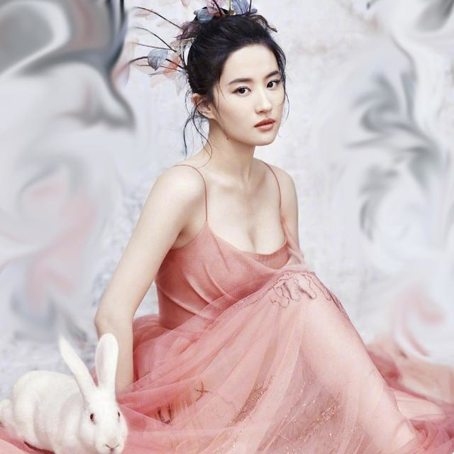 This is one of the most beautiful girl in China Liu Yifei