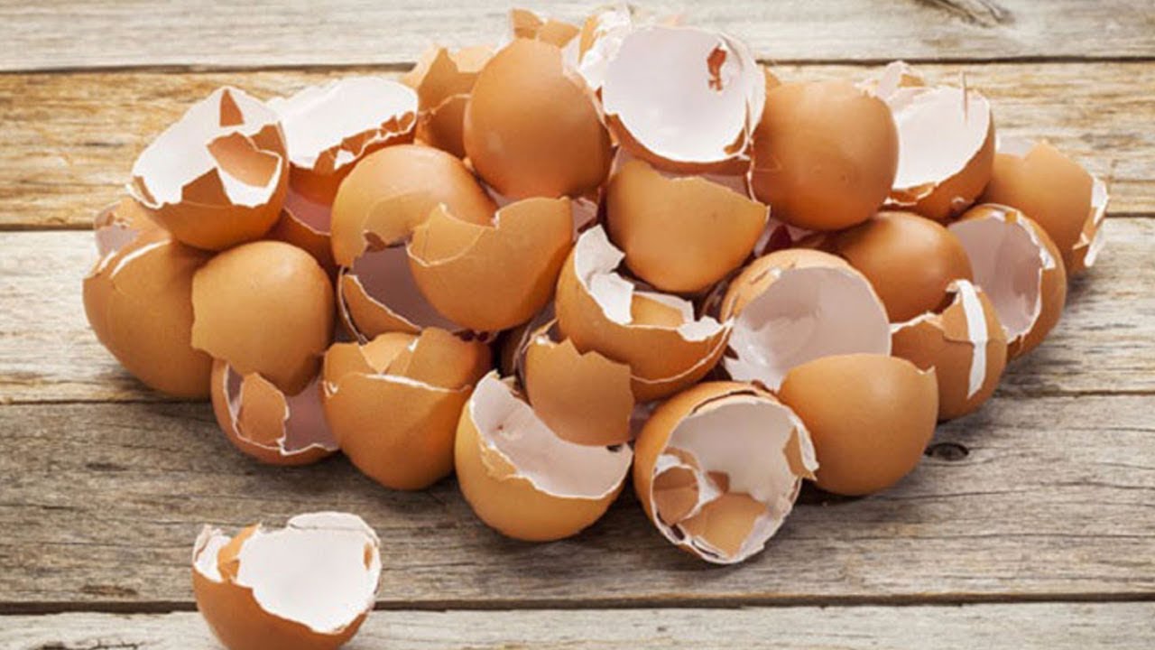 Do you discard egg peels? Then this article is for you! अंडे