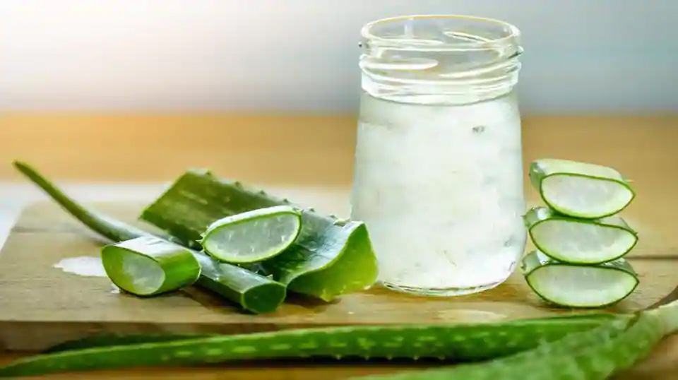These 9 diseases are clear from the root due to consumption of aloe vera juice एलोवेरा