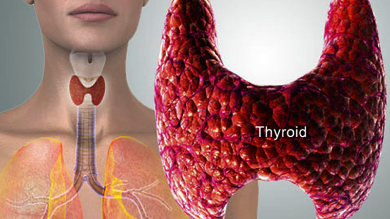 thyroid treatment in Hindi