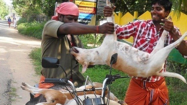 The only country in India where DOG meat is eaten