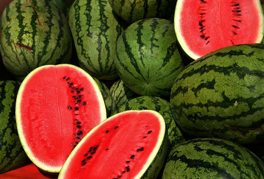 Eat TARBOOJ in the summer season to increase YON LIFE ability melon-research