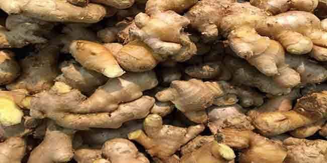 Those who have this kind of trouble, never eat ginger, otherwise it will become poison. अदरक