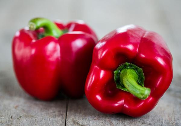 Red capsicum removes these serious diseases शिमला