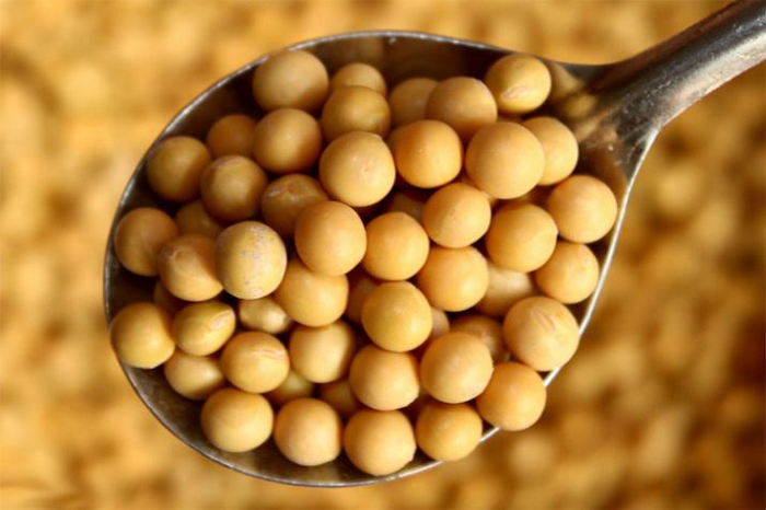 This is 5 reasons why you should eat soyabean