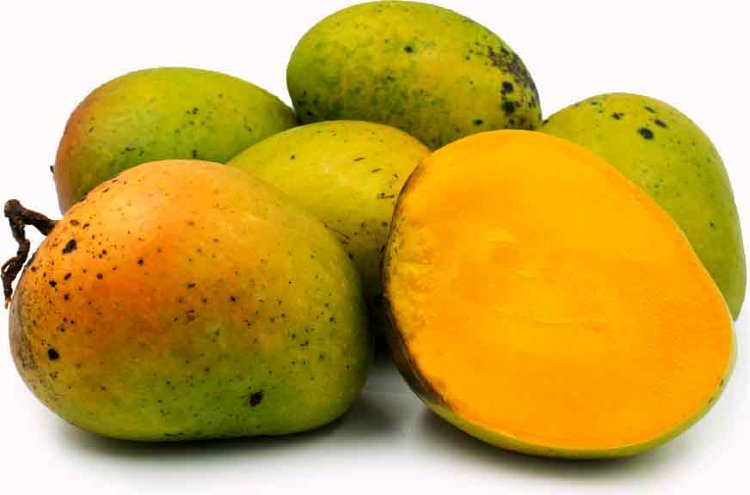 The country's most expensive mango, can earn profit with food