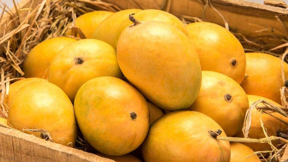 The country's most expensive mango, can earn profit with food