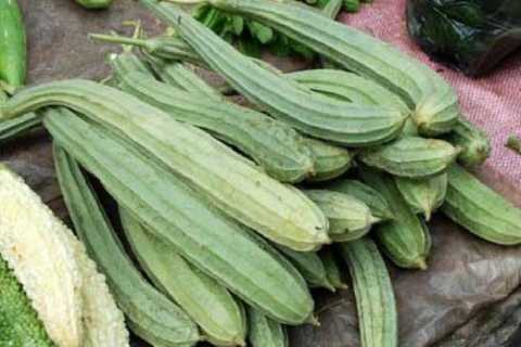 There are 3 tremendous benefits from eating luffa, you will be surprised to know तोरई