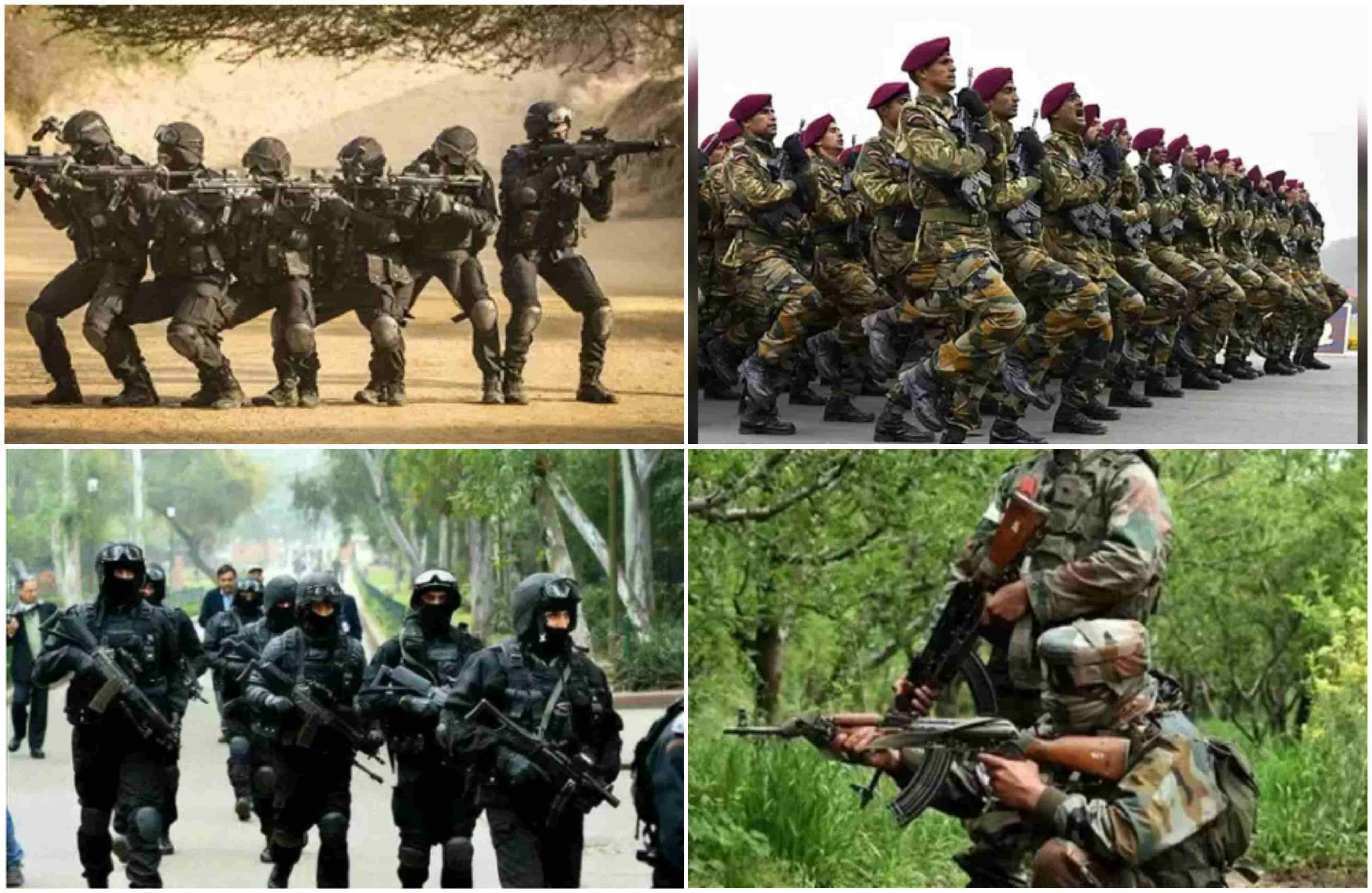These 8 types of dangerous commandos are in India, know the work of all कमांडो