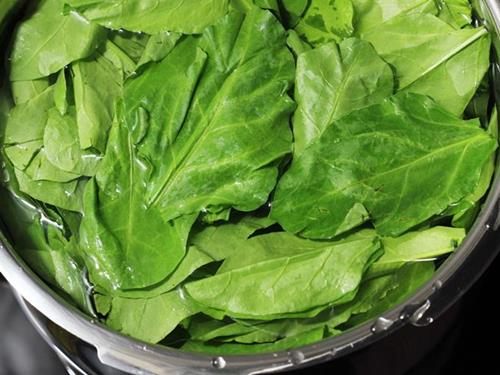 Eating spinach causes tremendous health benefits, you also know पालक
