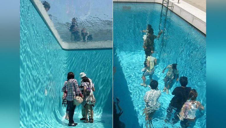 What a strange swimming pool in which you see the water world from below