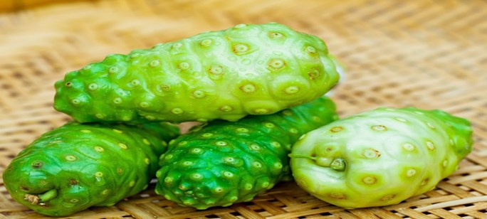 Removes many diseases, this miraculous noni fruit that you do not know about नोनी