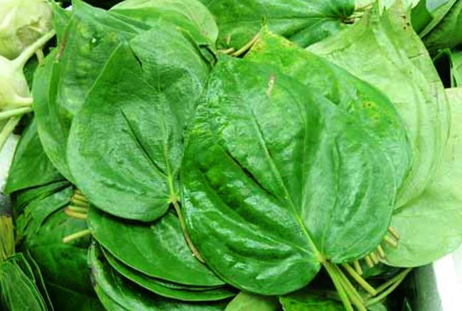 It can eliminate many diseases, it still uses a betel leaf पान
