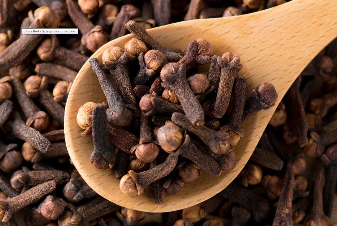Clove is full of medical benefits, know its amazing benefits लौंग