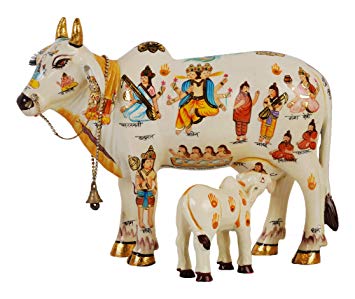 Do you also know about the cow mother, the body of the cow in Hinduism, the realities of all the deities,