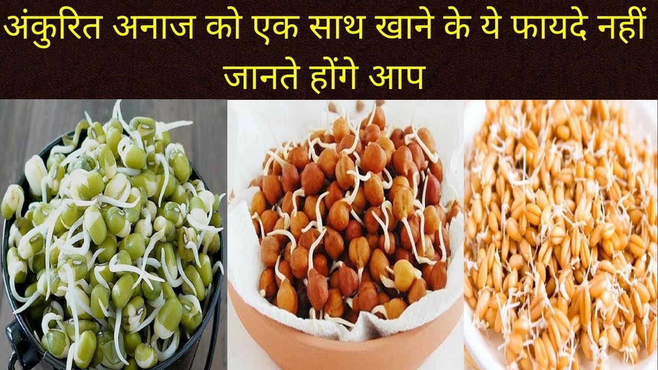 You will also be stunned knowing the benefits of sprouted grains and jaggery, so take these 2 cheap things.