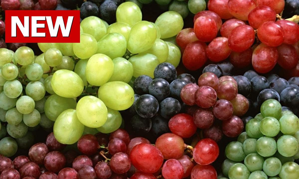 Hardly anyone has ever told such benefits of grapes अंगूर