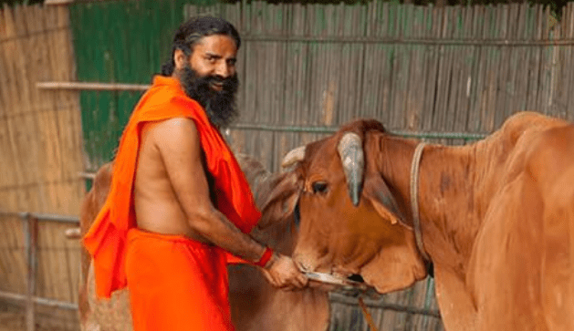 99% of the people will not know that baba Ramdev's first choice is that the Indian breed of cow gives 80 litres of milk daily