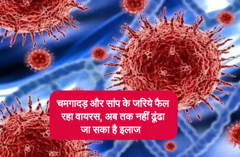 What is Corona virus ? , Know its symptoms