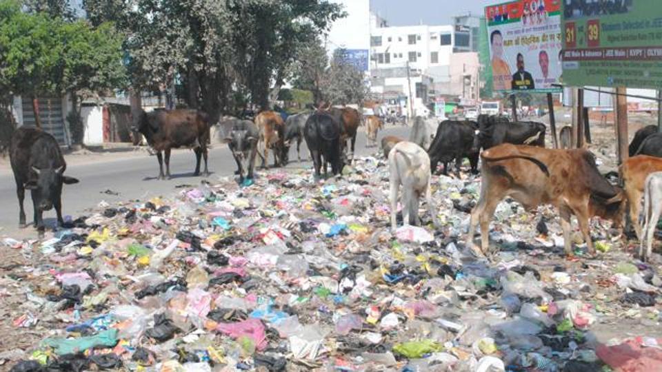 This the dirtiest city of India , See its name