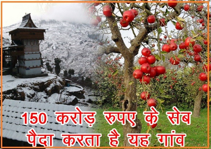 Madhavag of Himachal is Asia's richest village on the basis of apple, know how