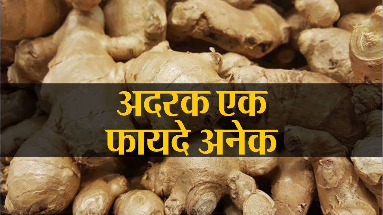 Ginger is not just for drinking tea, it can eliminate many diseases like cancer, diabetes and eliminate it from the root.