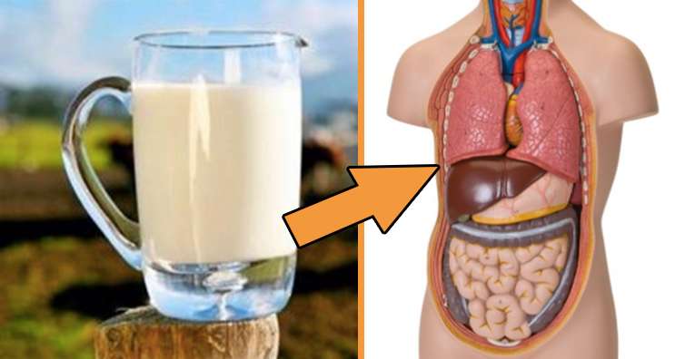 99% of people who drink milk with breakfast do not know this truth? नाश्ते