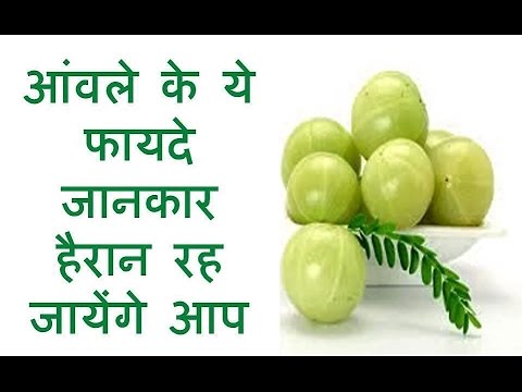 आंवले का मुरब्बा Amla marmalade prevents heatstroke in summer and these 3 diseases will remain away