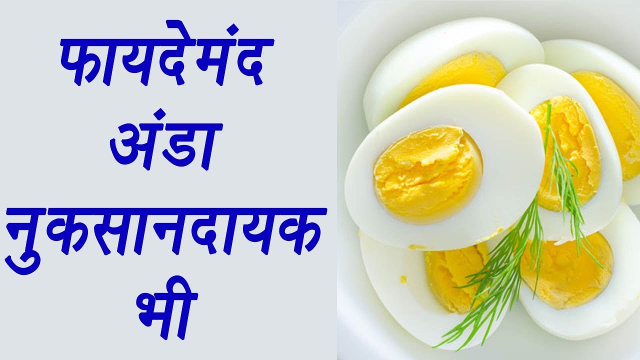 harmful effects of eating eggs , अंडे