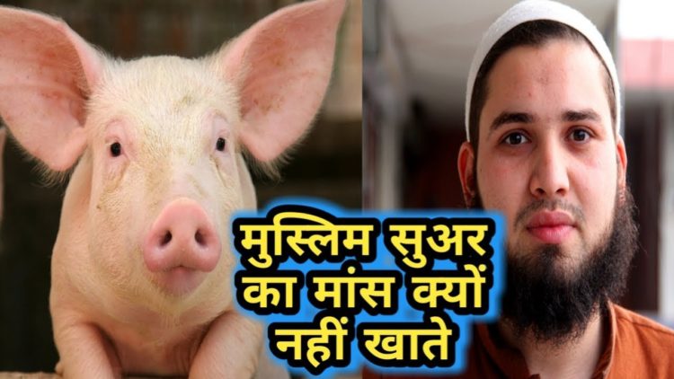 why muslims don't eat pig meat , reason read here , सुअर