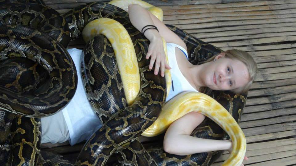 The most peculiar and rare massages, here people do massage with 4 big python snakes