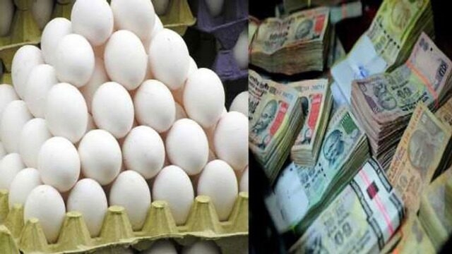surprising-thing-200-people-do-not-know-the-price-of-eggs-in-america-and-india अमेरिका