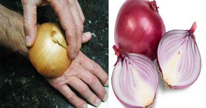 rub-the-onion-on-the-body-and-see-its-amazing प्याज
