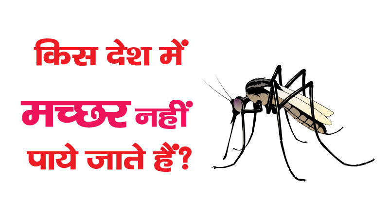 IAS interview asked, in which country mosquitoes are not found?