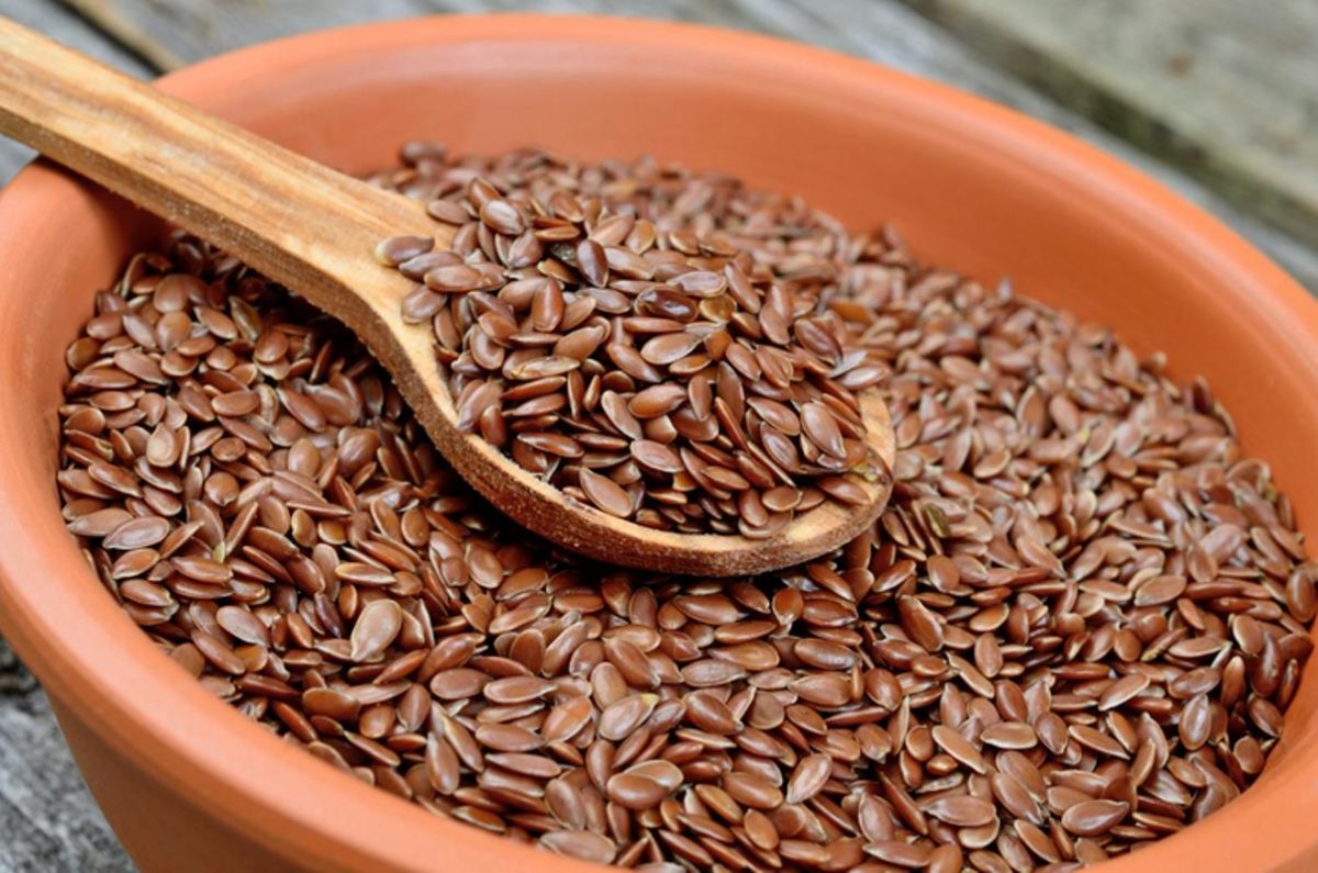 अलसी के बीज-contains-omega-3-fatty-acids-with-fish-know-the-medicinal-wonders-of-flaxseed