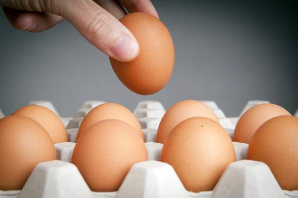 Are you fond of eating eggs, then let us know its advantages and disadvantages अंडे