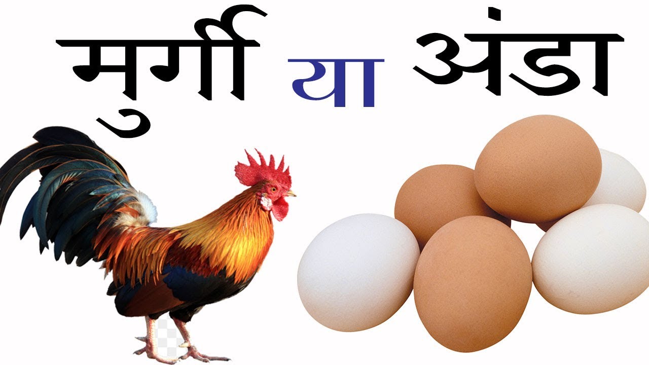 मुर्गी The first hen came in the IAS or the egg? 99% of people still don't know the answer