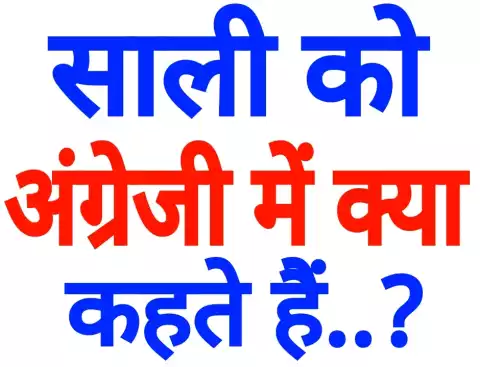 IAS Interview - Tell what Sali is called in English? Learn answer here साली