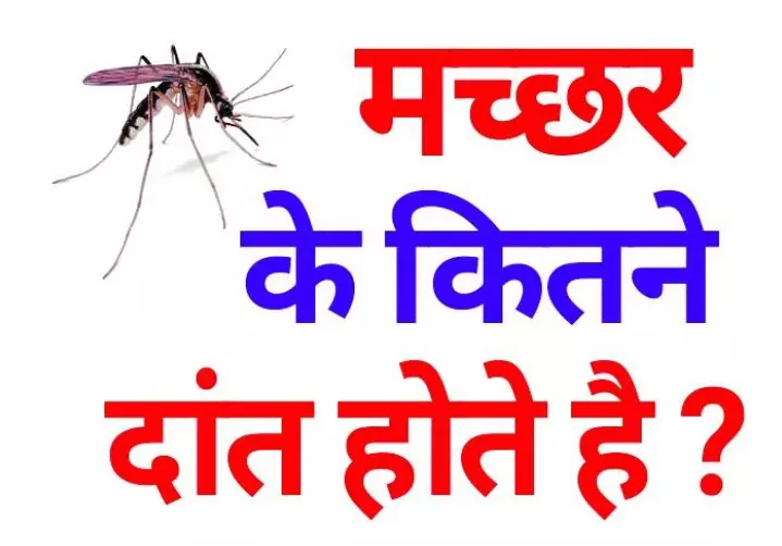 मच्छर What is the number of teeth in the mosquito's mouth? Know the answer now