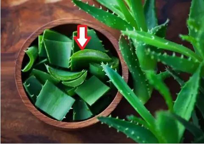 Use aloe vera in this way to improve your face, will be beneficial