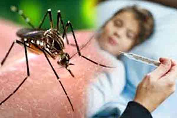Know the Desi Treatment for dengue and malaria