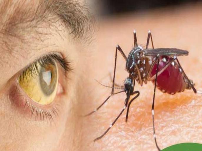 You may also get malaria, know its symptoms and methods of prevention, do not delay मलेरिया