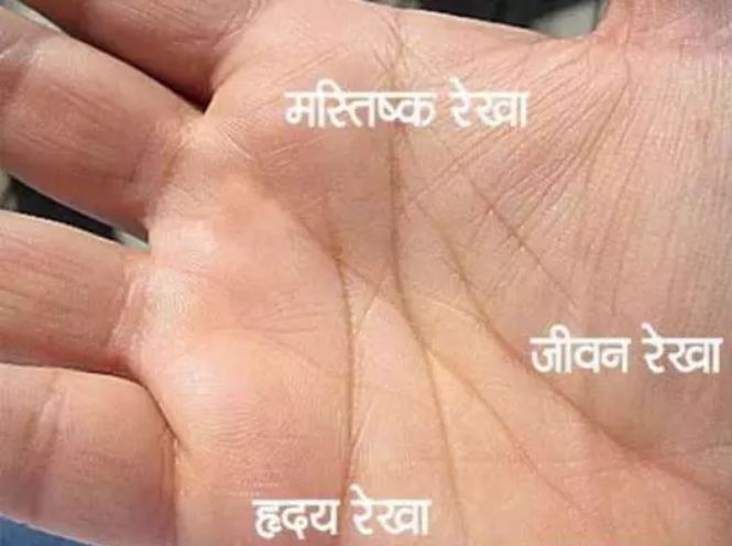 If this special mark is present in your palm, then chances of becoming rich